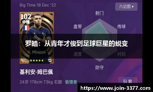 3377体育官方网站